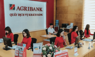 Đề xuất bổ sung 17.100 tỷ đồng vốn điều lệ cho Agribank