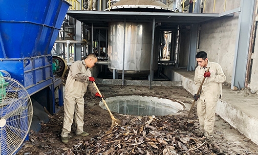 Nhà máy chế biến tinh dầu quế Tràng Định: Góp phần nâng cao giá trị cây quế