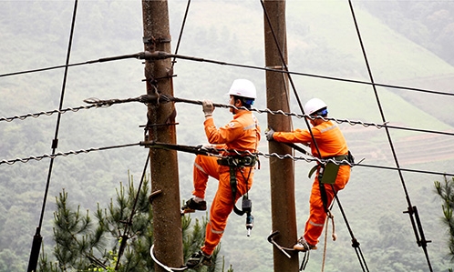 Tăng cường đảm bảo an toàn hành lang lưới điện