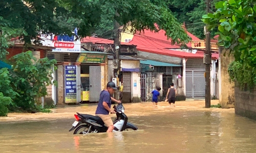 Một người mất tích, thiệt hại nhiều tài sản do mưa lũ