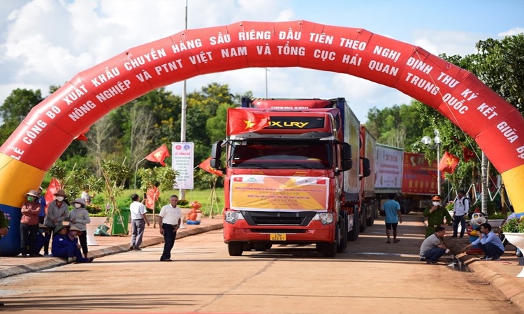 Liên tục tin vui xuất khẩu sang Trung Quốc, thị trường này đã bớt khó?