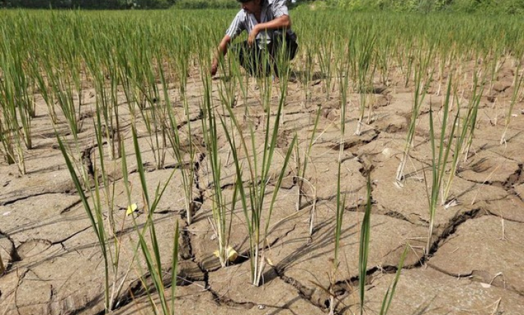 Hiện tượng El Nino đã xuất hiện: Hậu quả gì phía trước?