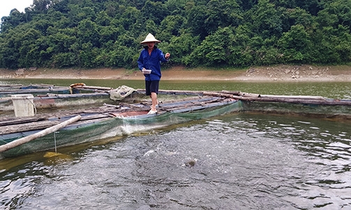 Bắc Sơn: Đồng bộ giải pháp phát triển hợp tác xã