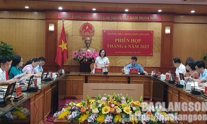 trực HĐND tỉnh họp phiên tháng 6: Xem xét nhiều nội dung quan trọng trước kỳ họp thường lệ giữa năm 2023