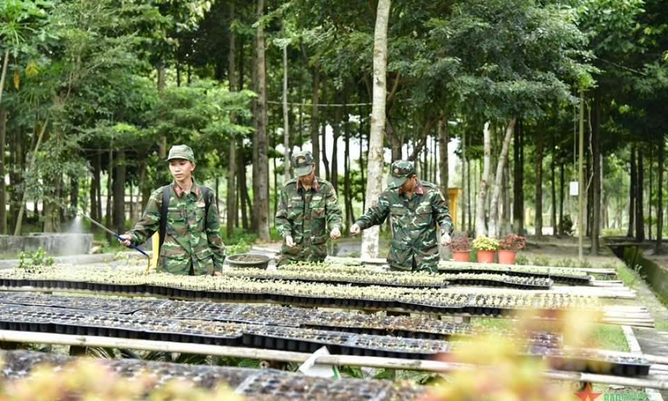 Bảo vệ môi trường bằng những việc làm cụ thể