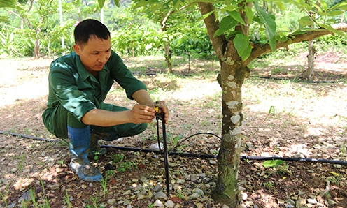 Ngày mới ở “thôn thông minh” Quán Thanh