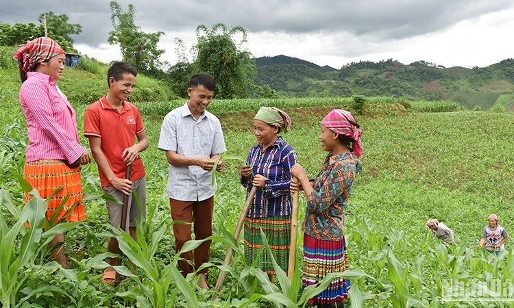 Nhiều địa phương ban hành chuẩn nghèo đa chiều cao hơn chuẩn nghèo quốc gia