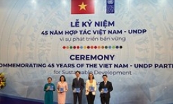 Việt Nam và UNDP: 45 năm hợp tác vì sự phát triển bền vững