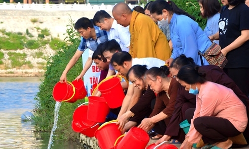 Gần 100 đại biểu thả cá hưởng ứng Ngày Môi trường thế giới và Ngày Đại dương thế giới