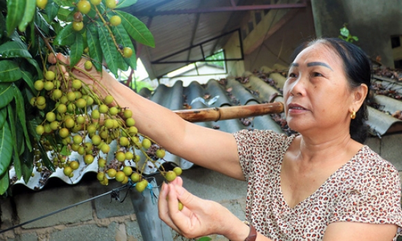 Hội nông dân huyện Cao Lộc: “Cầu nối” đưa vốn chính sách đến nông dân