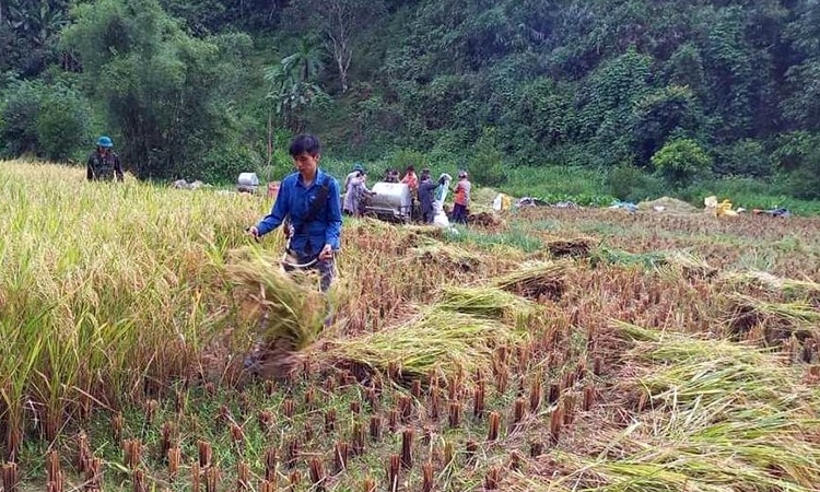 Cao Bằng chăm lo người có công với cách mạng