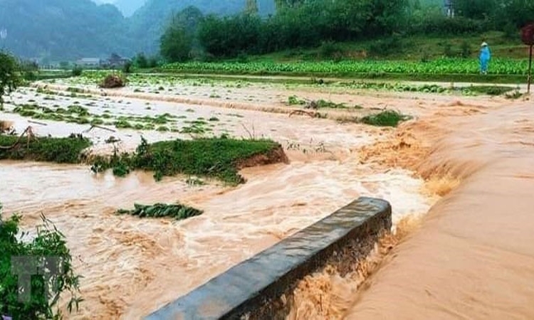 Ngày 19/7, nhiều khu vực mưa lớn, đề phòng ngập úng, lũ quét, sạt lở