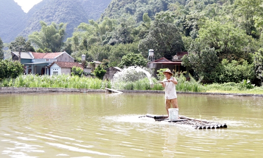 Bảo đảm an toàn nuôi trồng thủy sản trong mùa mưa bão