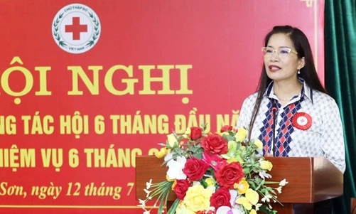 Hội Chữ thập đỏ tỉnh triển khai nhiệm vụ 6 tháng cuối năm