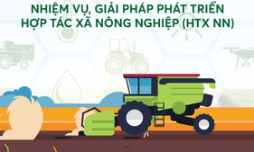 Phát triển hợp tác xã nông nghiệp: Một số nhiệm vụ, giải pháp