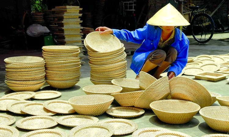 Tạo vùng nguyên liệu lâm sản ngoài gỗ quy mô lớn