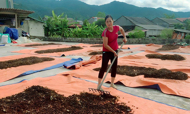 Một nông dân Lạng Sơn được tặng danh hiệu “Nông dân Việt Nam xuất sắc” năm 2023