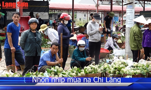 Nhộn nhịp mùa na Chi Lăng