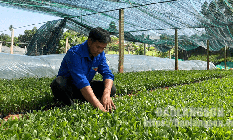 Hữu Lũng: Lan tỏa những mô hình dân vận khéo thiết thực, hiệu quả