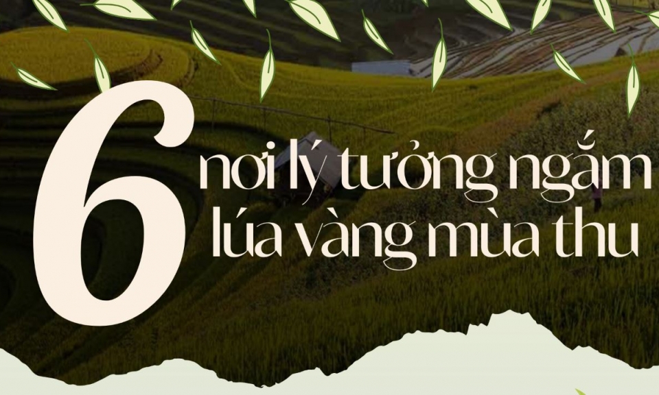 6 nơi lý tưởng ngắm lúa vàng mùa thu