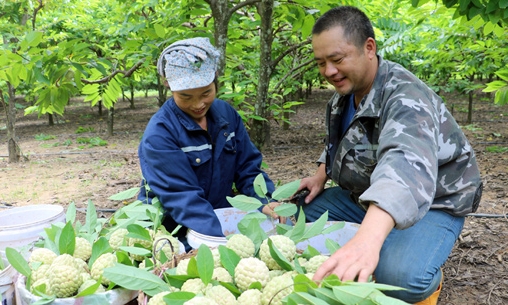 Các cấp hội nông dân huyện Hữu Lũng: Đổi mới phương thức thu hút, tập hợp hội viên