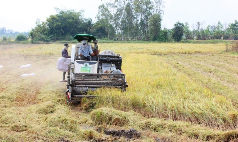 Bảo đảm đủ nguồn lương thực dự trữ quốc gia