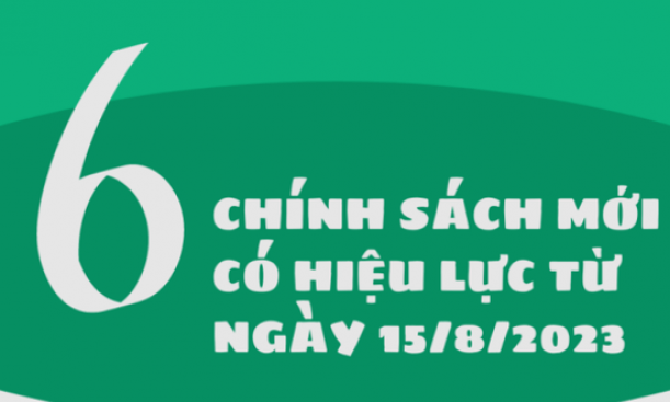 Ngày 15/8, sáu chính sách mới có hiệu lực thi hành