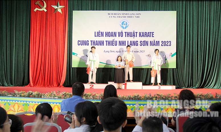 41 võ sinh tham gia Liên hoan võ thuật Karatedo