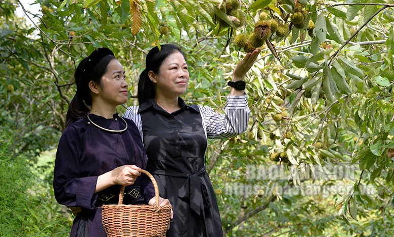 Phát triển du lịch xanh: Hướng đi nhiều triển vọng