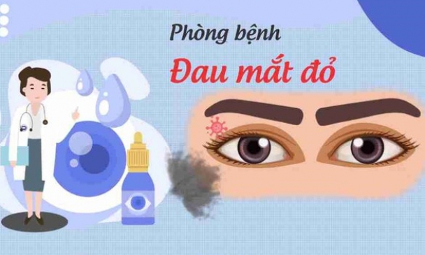 Cách phòng, ngăn ngừa lây lan bệnh đau mắt đỏ