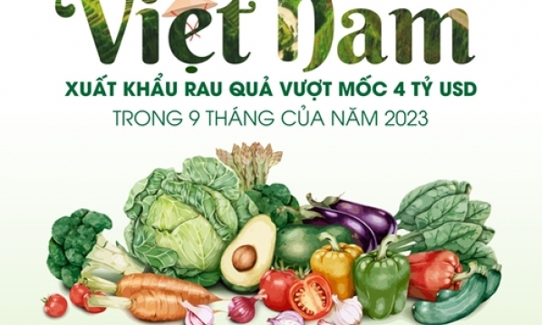 Việt Nam: Xuất khẩu rau quả vượt mốc 4 tỷ USD trong 9 tháng của năm 2023