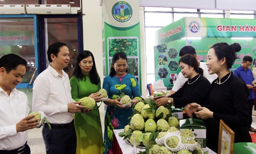 Xúc tiến thương mại: Mở rộng thị trường, nâng cao giá trị nông sản