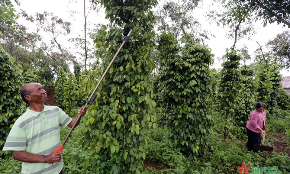 Xây dựng chính sách thuế tạo thuận lợi cho doanh nghiệp trong nước