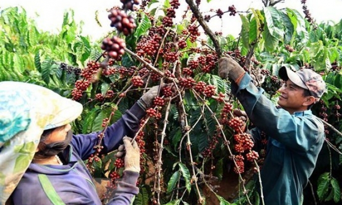 Nông sản Việt tham gia sâu hơn vào chuỗi cung ứng nông sản toàn cầu