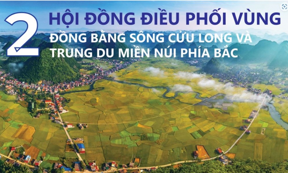 2 Hội đồng điều phối vùng