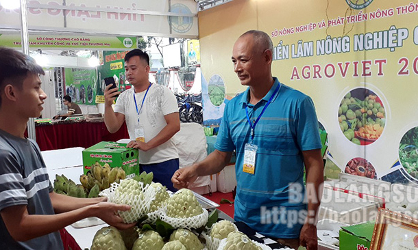 Lạng Sơn tham gia quảng bá nông đặc sản tại Hội chợ triển lãm Nông nghiệp Quốc tế