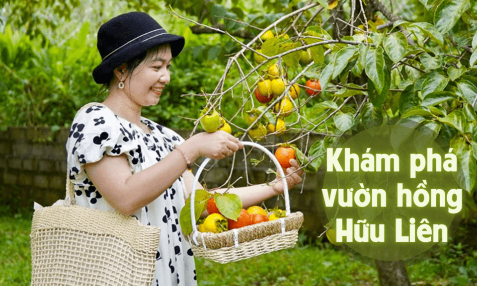 Khám phá vườn hồng Hữu Liên