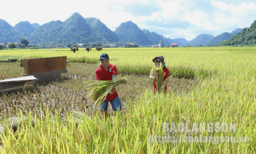 Sẵn sàng cho “mùa du lịch”