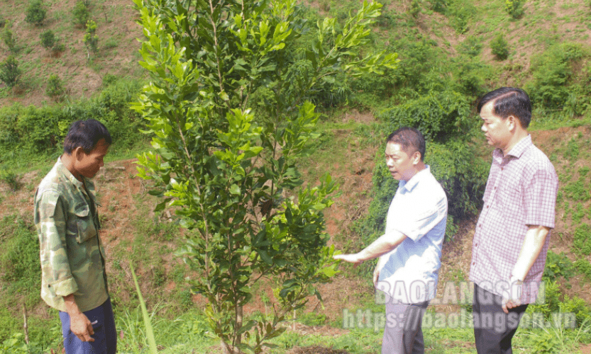 Tổ đại biểu HĐND các cấp: Tập trung lắng nghe, tăng cường giám sát