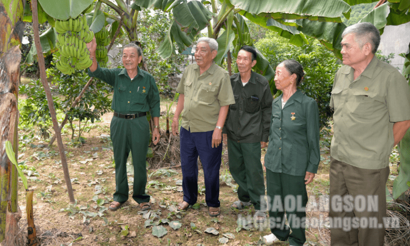 Ông Luần làm giàu trên vùng đất mới