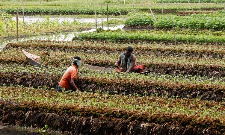 Trách nhiệm bảo vệ tài nguyên nước