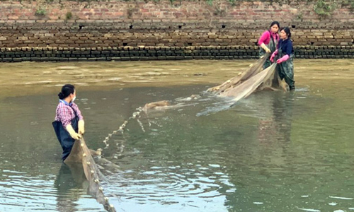 Đảm bảo chất lượng con giống thủy sản