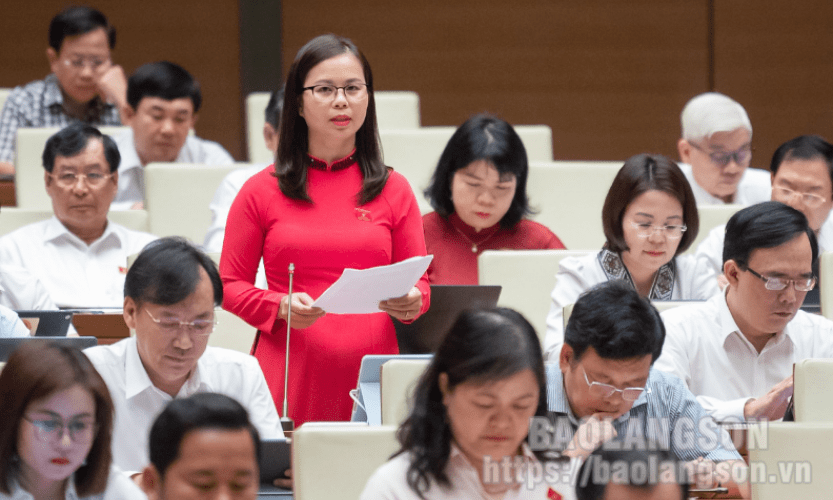 Đại biểu Quốc hội tỉnh phát biểu ý kiến đóng góp vào thực hiện 3 chương trình mục tiêu quốc gia