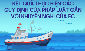 Kết quả thực hiện các quy định chống khai thác IUU