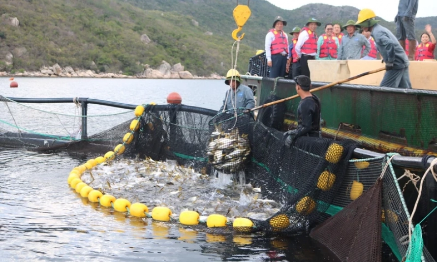 Tháo gỡ khó khăn cho nuôi trồng thủy sản