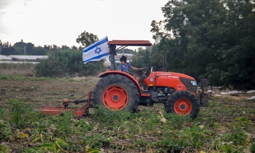 Thiếu hụt lao động do xung đột, Israel phát động phong trào "giải cứu” nông dân