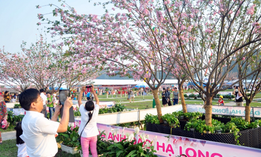 Phát triển quan hệ sâu rộng, bền chặt Quảng Ninh - Hokkaido