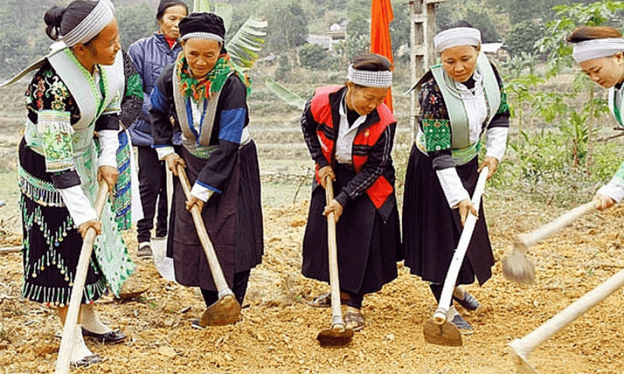 Đề án tổng thể phát triển kinh tế-xã hội vùng đồng bào DTTS và miền núi giai đoạn 2021-2030 hướng đến