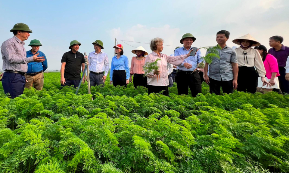 Nông nghiệp và Phát triển nông thôn phối hợp triển khai kế hoạch sản xuất năm 2024 các tỉnh phía Bắc tại