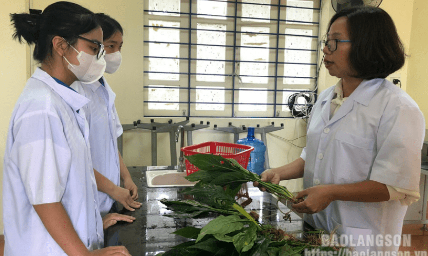 Sôi nổi phong trào “Học sinh 3 tốt” ở Trường THPT Chuyên Chu Văn An